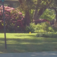 Illustration for article titled mow your whole yard
